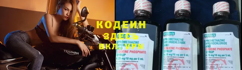 Codein Purple Drank  где найти наркотики  Дагестанские Огни 