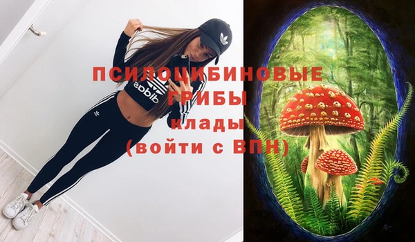 мескалин Беломорск