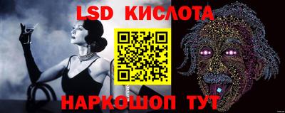 гидропоника Будённовск