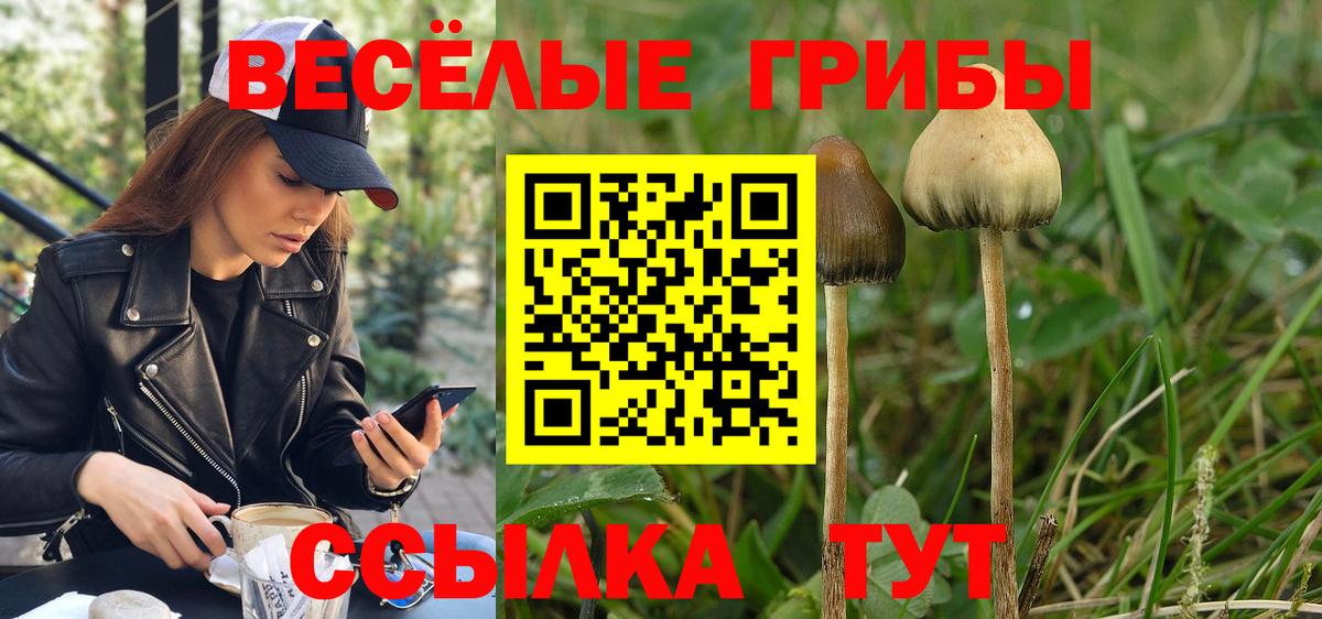 Псилоцибиновые грибы мицелий  Дагестанские Огни  Галлюциногенные грибы мицелий 