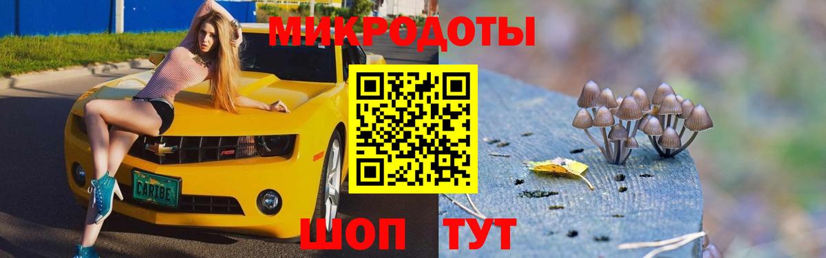Псилоцибиновые грибы мухоморы  Вход с VPN  Дагестанские Огни 